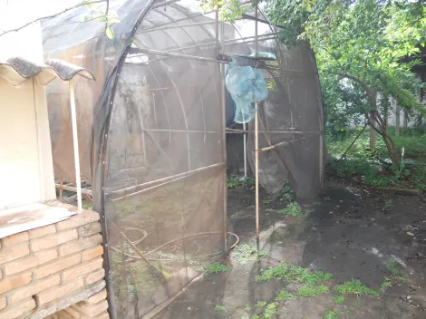 Casas / Padr&atilde;o em Jaboticabal - foto 12