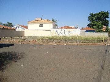 Terrenos / Residencial em Jaboticabal - foto 0