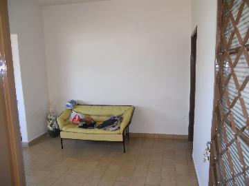 Casas / Padr&atilde;o em Jaboticabal - foto 21