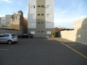 Apartamentos / Kitnet em Jaboticabal - foto 1