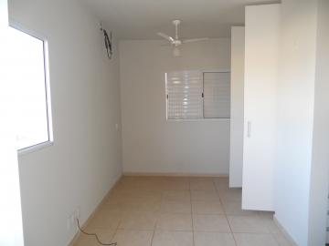 Apartamentos / Kitnet em Jaboticabal - foto 3