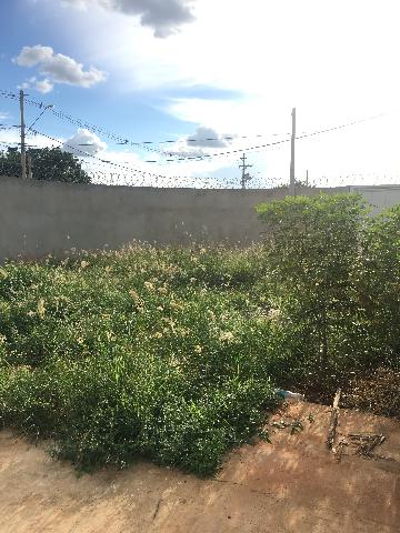 Casas / Ed&iacute;cula em Jaboticabal - foto 12