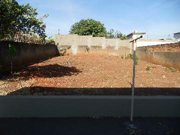 Casas / Padr&atilde;o em Jaboticabal - foto 3