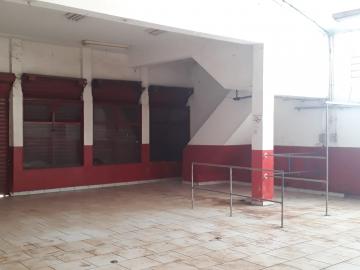 Comerciais / Pr&eacute;dio em Barrinha - foto 5