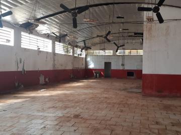 Comerciais / Pr&eacute;dio em Barrinha - foto 3