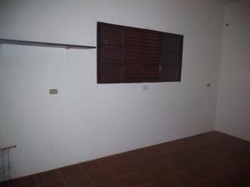 Casas / Ed&iacute;cula em Jaboticabal - foto 4