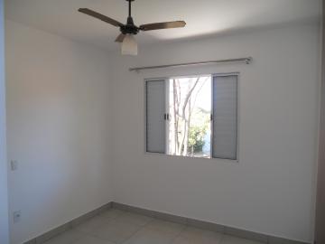 Apartamentos / Padr&atilde;o em Jaboticabal - foto 4