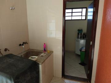 Casas / Padr&atilde;o em Jaboticabal - foto 15