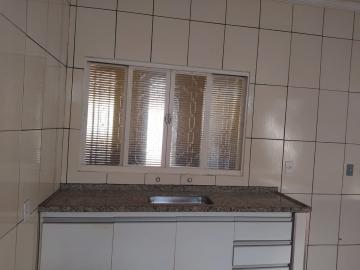 Ch&aacute;caras / Condom&iacute;nio em Jardin&oacute;polis - foto 13