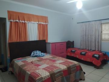 Ch&aacute;caras / Condom&iacute;nio em Jardin&oacute;polis - foto 26