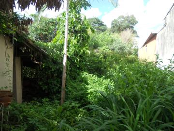 Terrenos / Residencial em Jaboticabal - foto 6