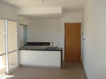 Apartamentos Padr&atilde;o