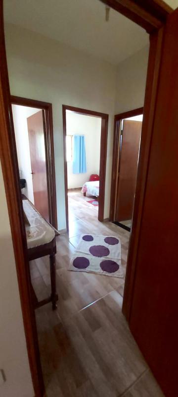 Ch&aacute;caras / Urbana em Monte Alto - foto 1