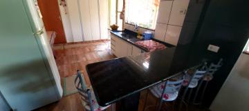 Ch&aacute;caras / Urbana em Monte Alto - foto 13