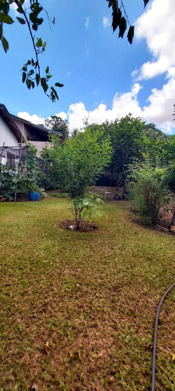 Ch&aacute;caras / Urbana em Monte Alto - foto 21