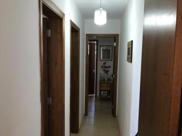 Apartamentos / Padr&atilde;o em Jaboticabal - foto 5