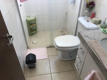 Apartamentos / Padr&atilde;o em Jaboticabal - foto 10