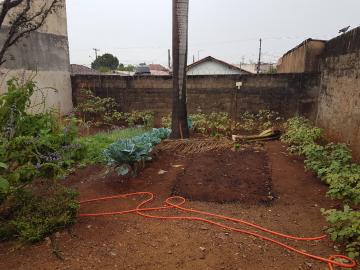 Casas / Padr&atilde;o em Jaboticabal - foto 6