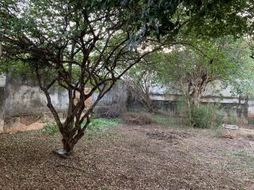 Casas / Padr&atilde;o em Jaboticabal - foto 19