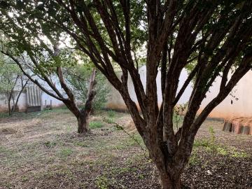 Casas / Padr&atilde;o em Jaboticabal - foto 20