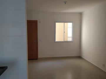 Apartamentos / Padr&atilde;o em Jaboticabal - foto 3