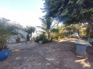 Casas / Ed&iacute;cula em Jaboticabal - foto 13