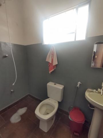 Casas / Ed&iacute;cula em Jaboticabal - foto 10