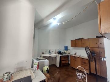 Casas / Ed&iacute;cula em Jaboticabal - foto 5