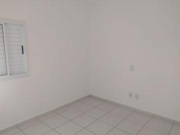 Apartamentos / Padr&atilde;o em Jaboticabal - foto 4