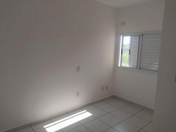 Apartamentos / Padr&atilde;o em Jaboticabal - foto 7