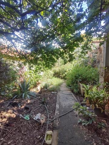 Casas / Padr&atilde;o em Jaboticabal - foto 2