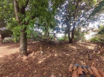 Casas / Padr&atilde;o em Jaboticabal - foto 1