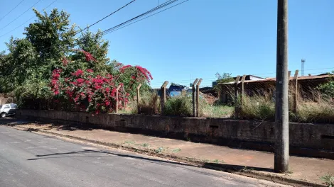 Comerciais / Galp&atilde;o em Jaboticabal - foto 10