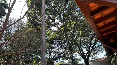 Casas / Padr&atilde;o em Monte Alto - foto 46