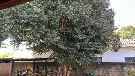 Casas / Padr&atilde;o em Monte Alto - foto 51