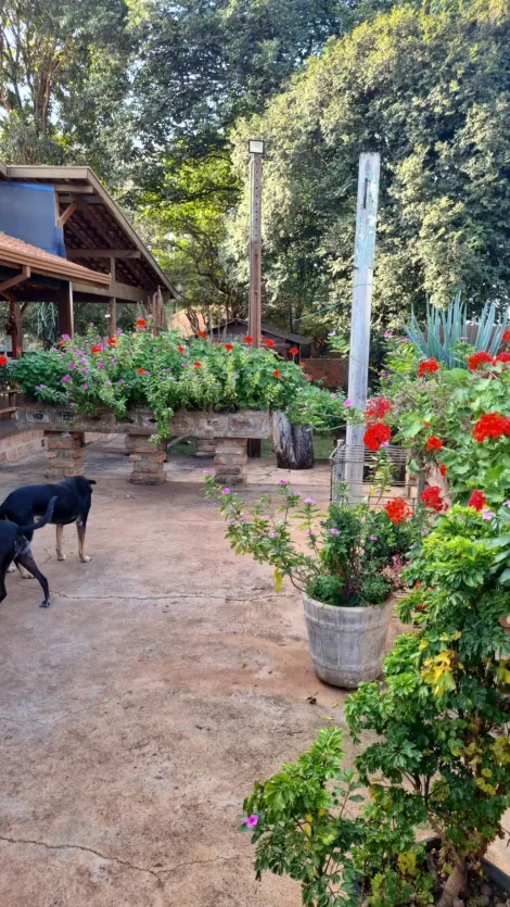 Casas / Padr&atilde;o em Monte Alto - foto 79