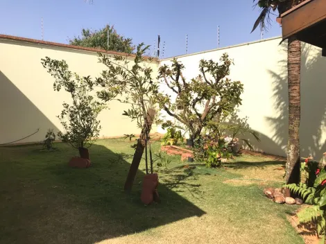 Casas / Padr&atilde;o em Jaboticabal - foto 45