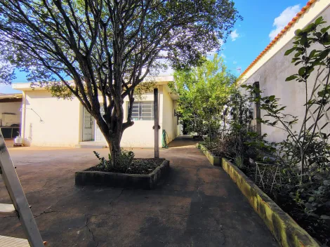 Casas / Padr&atilde;o em Jaboticabal - foto 21