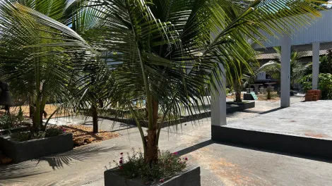 Casas / Ed&iacute;cula em Jaboticabal - foto 1