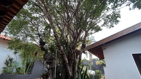 Casas / Ed&iacute;cula em Jaboticabal - foto 27