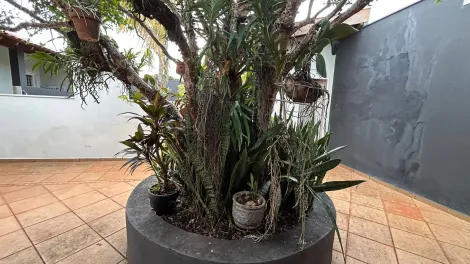 Casas / Ed&iacute;cula em Jaboticabal - foto 26