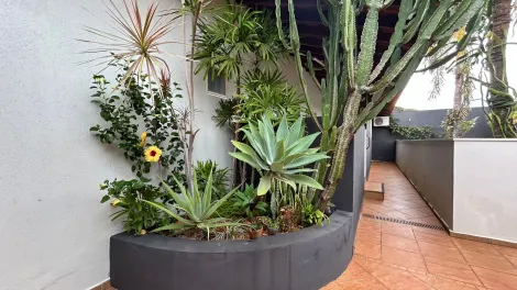 Casas / Ed&iacute;cula em Jaboticabal - foto 24