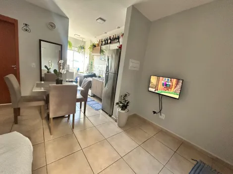 Apartamentos Padr&atilde;o