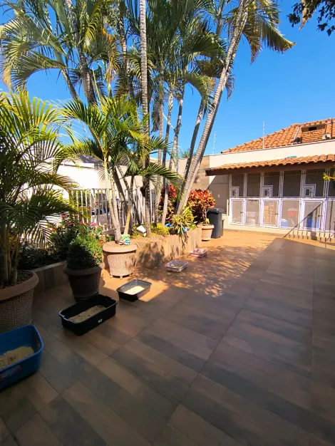 Casas / Padr&atilde;o em Jaboticabal - foto 24