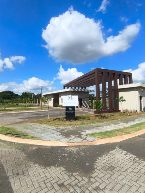 Alugar Terrenos / Residencial em Jaboticabal. apenas R$ 660.000,00