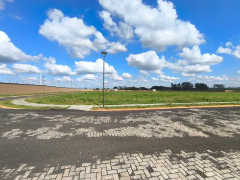 Terrenos / Residencial em Jaboticabal - foto 2