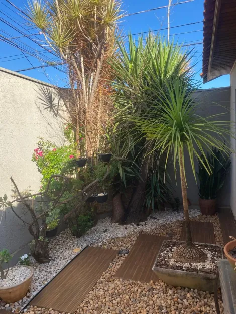 Casas / Padr&atilde;o em Jaboticabal - foto 3