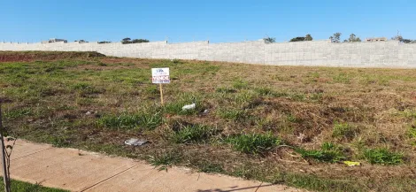 Terrenos / Comercial em JABOTICABAL - foto 1