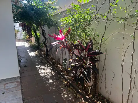 Casas / Padr&atilde;o em Jaboticabal - foto 6