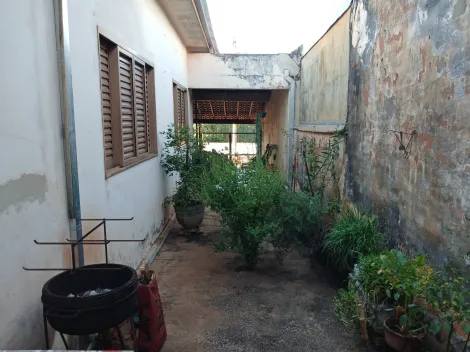 Casas / Padr&atilde;o em Jaboticabal - foto 7